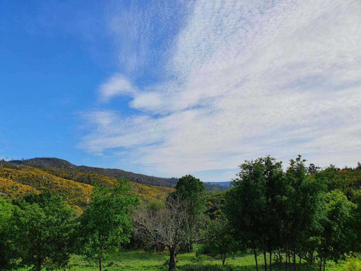 Вилла Quinta De Cerdeiro Moes Экстерьер фото